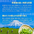 採摘日對比三天採摘100g新茶2023